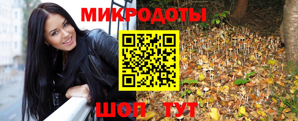 Псилоцибиновые грибы Cubensis  Галлюциногенные грибы GOLDEN TEACHER  Новоуральск  Вход с VPN 